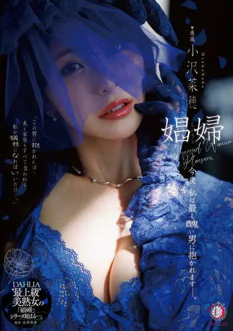DLDSS-487